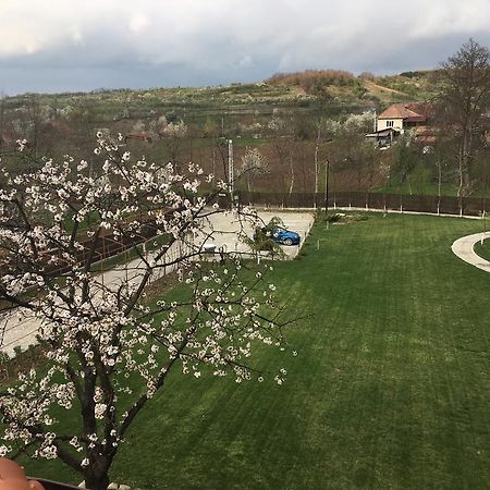 Pensiunea Amurg Mesesenii de Sus Exterior foto