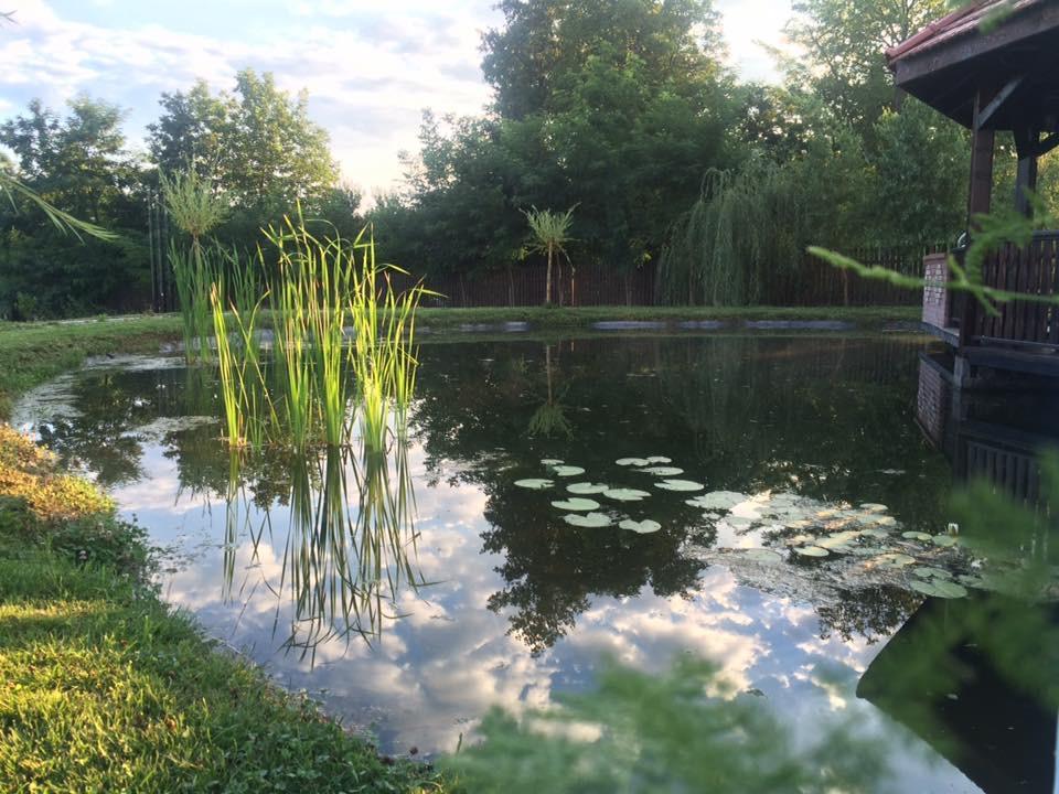 Pensiunea Amurg Mesesenii de Sus Exterior foto