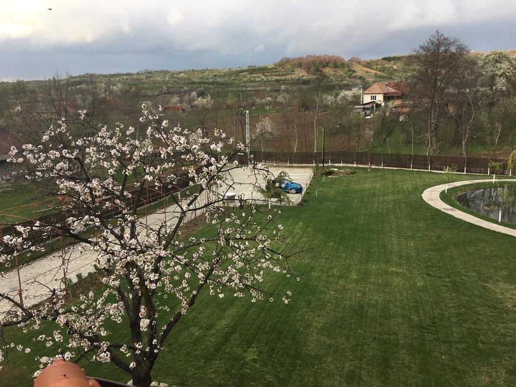 Pensiunea Amurg Mesesenii de Sus Exterior foto